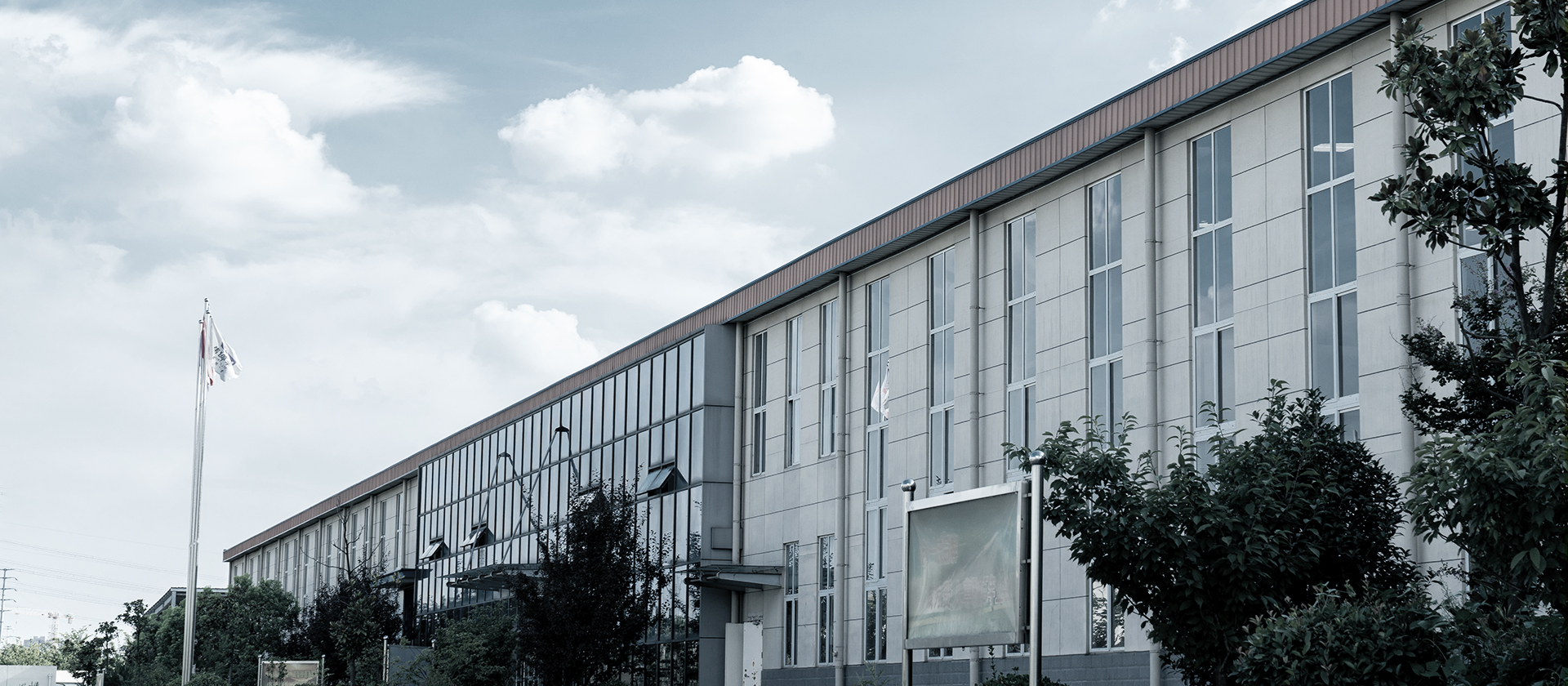 安徽揚(yáng)子智能制造有限公司