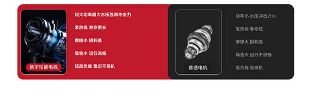 揚子性能電機(jī)